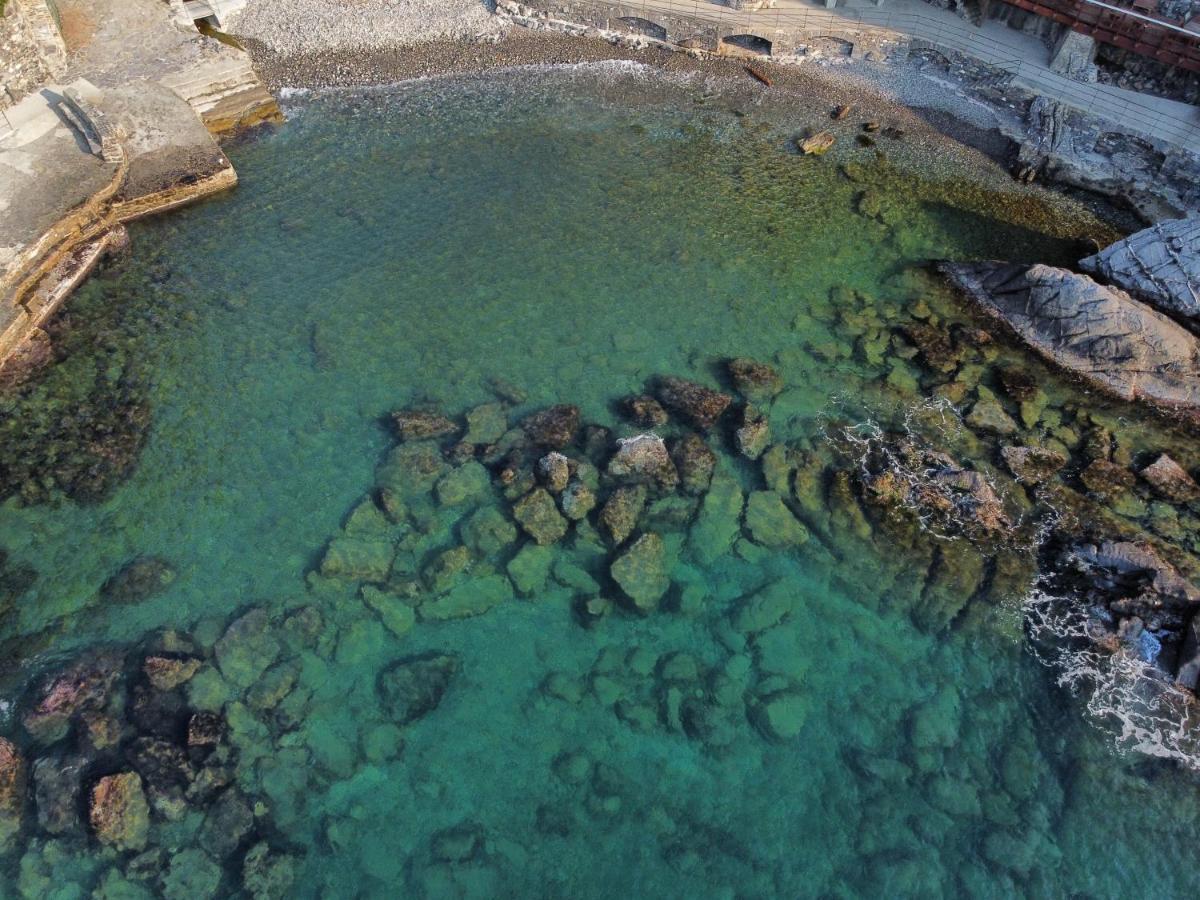 La Terrazza Sul Mare Apartment Zoagli Bagian luar foto