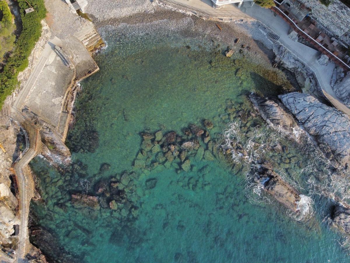 La Terrazza Sul Mare Apartment Zoagli Bagian luar foto