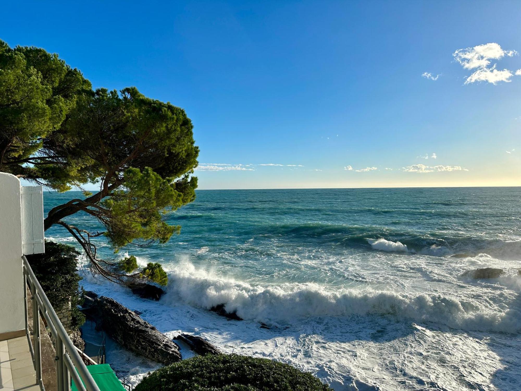La Terrazza Sul Mare Apartment Zoagli Bagian luar foto