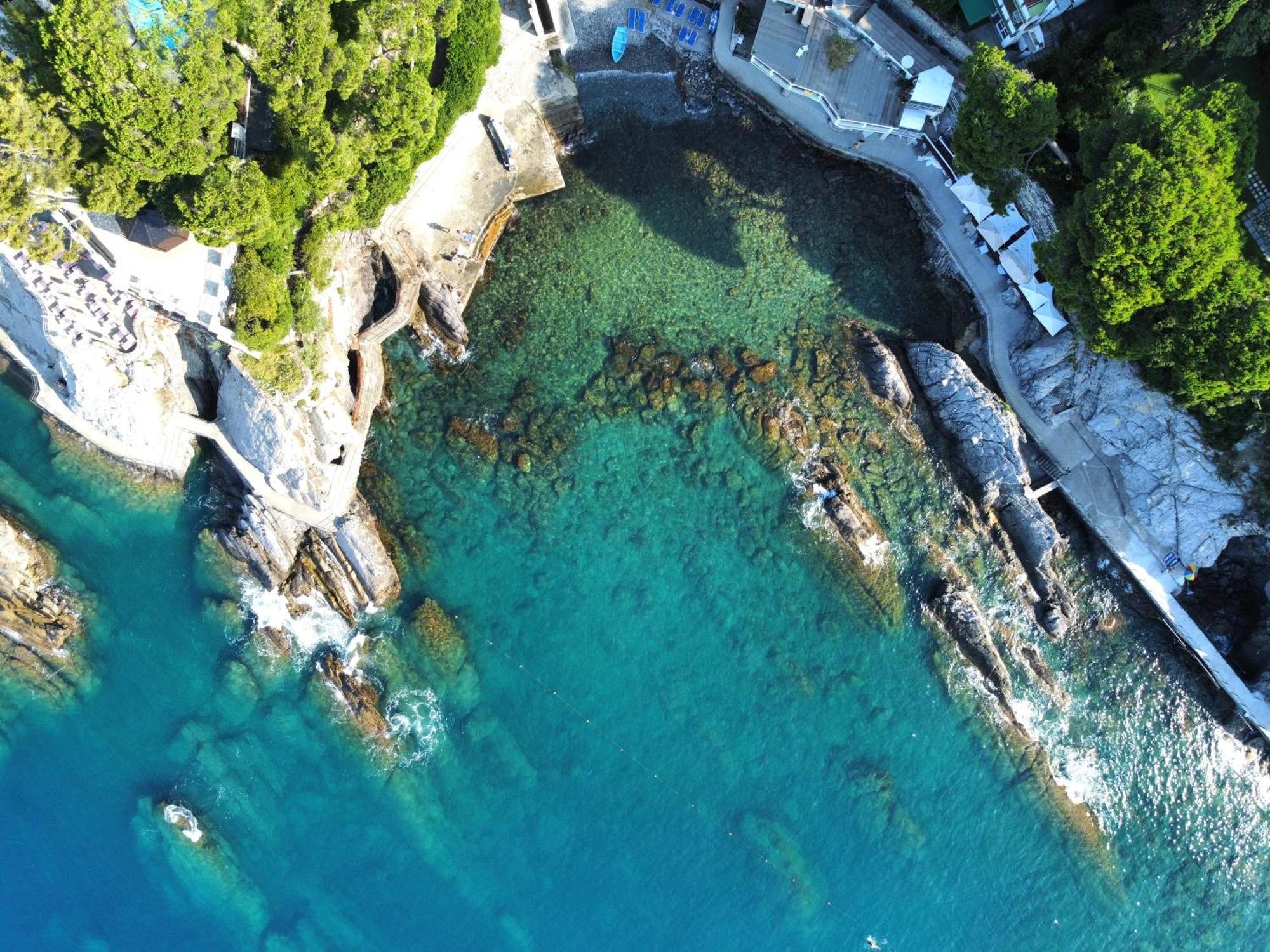 La Terrazza Sul Mare Apartment Zoagli Bagian luar foto